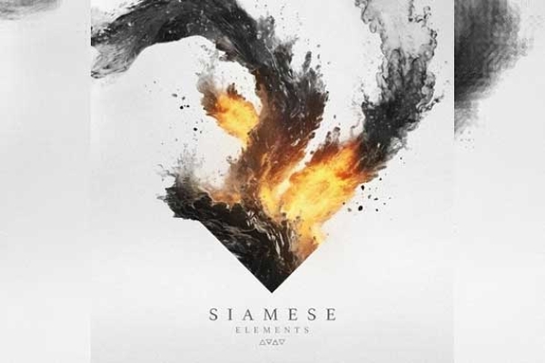 SIAMESE – Elements