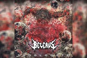 BECERUS – Troglodyte